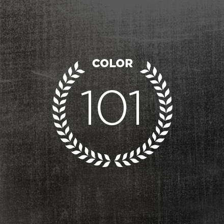 HAIR COLOR 101